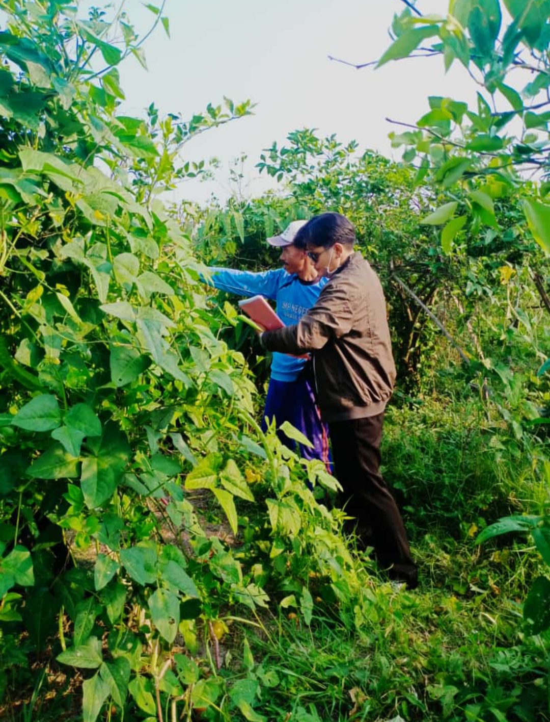 Jasa Pengacara Sengketa Tanah di Tulungagung Rachmat Dani